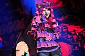 「HYDE主宰のハロウィン・パーティ初日、HYDEはセクシーなチェシャ猫で安室奈美恵を熱唱」1枚目/19