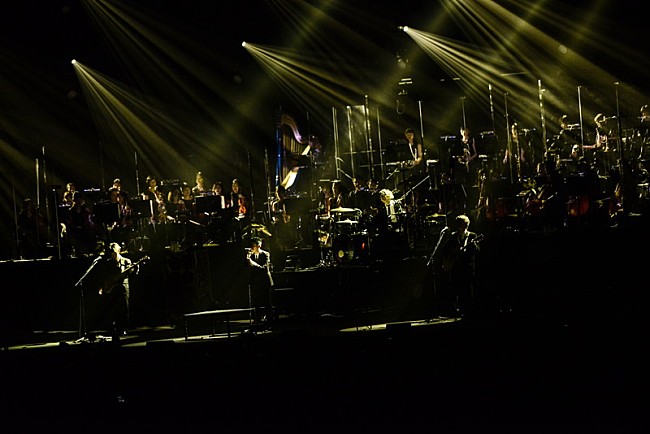 「Photo by 橋本塁(SOUND SHOOTER)」4枚目/12