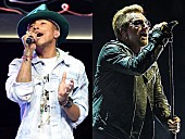 「ボノ＆ファレル、ビー・ジーズの「ステイン・アライヴ」をカヴァー」1枚目/1