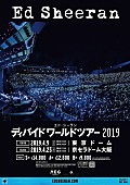 「エド・シーラン、2019年4月に東京ドーム＆京セラドームにて来日公演を開催」1枚目/1