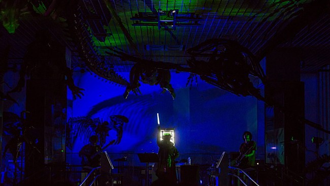 「Kenshu Shintsubo」7枚目/48