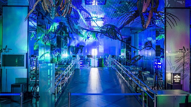 「Kenshu Shintsubo」34枚目/48