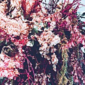 「来日公演を大成功で終えたNELL　初の日本語楽曲「元気でいて」を配信リリース」1枚目/2