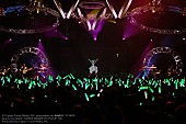 「初音ミク、パリ公演をWOWOWで独占放送決定」1枚目/9