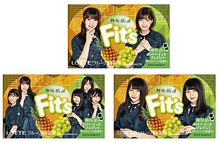「欅坂46×ガム『Fit's』、メンバーデザインで全国発売」