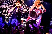 「Fear, and Loathing in Las Vegas、2019年3月に5人体制初アルバムをリリース　全国ツアーも決定」1枚目/7