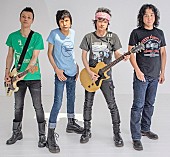 「ザ・クロマニヨンズ、約3年ぶりドラマ主題歌決定」1枚目/2