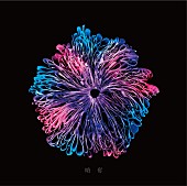 「みやかわくん、ぼくりり作曲SG『略奪』ジャケ写公開」1枚目/5