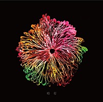 早い者勝ち！みやかわくん略奪FC盤 x200_sub_image167553.jpg