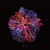 みやかわくん、ぼくりり作曲SG『略奪』ジャケ写公開 | Daily News