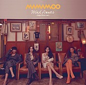 「MAMAMOO、2ndシングルの詳細発表&amp;amp;リリースイベント決定」1枚目/4