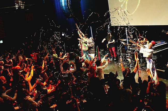 「エネルギッシュでグルーヴィな2019年の幕開け　アレステッド・ディベロップメント、平成最後のカウントダウン・ライブをレポート」1枚目/10