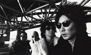 「ストリート・スライダーズ、1988年日本武道館ライヴ映像を1/9にリマスタリングして再リリース」