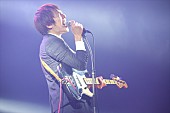 「THE BAWDIES/L-STAGE　写真：FM802」201枚目/282