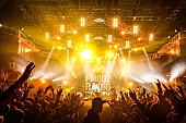 「sumika/Z-STAGE　写真：FM802」48枚目/282