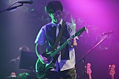 「くるり/R-STAGE　写真：FM802」133枚目/282