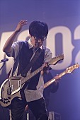 「くるり/R-STAGE　写真：FM802」138枚目/282
