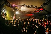 「ビッケブランカ/LIVE HOUSE Antenna　写真：FM802」255枚目/282