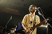 「ナードマグネット/LIVE HOUSE Antenna　写真：FM802」272枚目/282