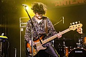 「緑黄色社会/LIVE HOUSE Antenna　写真：FM802」282枚目/282