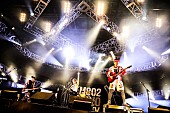「TOTALFAT/Z-STAGE　写真：FM802」10枚目/282