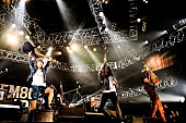 「go!go!vanillas/Z-STAGE　写真：FM802」21枚目/282