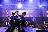 「go!go!vanillas/Z-STAGE　写真：FM802」22枚目/282