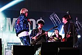 「go!go!vanillas/Z-STAGE　写真：FM802」24枚目/282