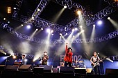 「ASIAN KUNG-FU GENERATION/Z-STAGE　写真：FM802」64枚目/282