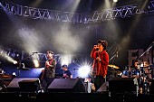 「ASIAN KUNG-FU GENERATION/Z-STAGE　写真：FM802」65枚目/282