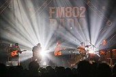 「never young beach/L-STAGE　写真：FM802」176枚目/282