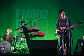 「ストレイテナー/L-STAGE　写真：FM802」205枚目/282