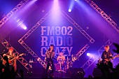 「SUPER BEAVER/L-STAGE　写真：FM802」217枚目/282
