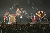 「SUPER BEAVER/L-STAGE　写真：FM802」222枚目/282