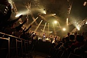 「パノラマパナマタウン/R-STAGE　写真：FM802」93枚目/282