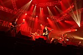 「the pillows/R-STAGE　写真：FM802」119枚目/282