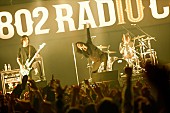 「THE BACK HORN/R-STAGE　写真：FM802」146枚目/282