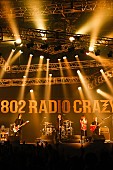 「THE BACK HORN/R-STAGE　写真：FM802」149枚目/282