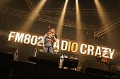 「CRAZY MAN CLUB BAND/R-STAGE　写真：FM802」154枚目/282