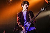 「マカロニえんぴつ/LIVE HOUSE Antenna　写真：FM802」254枚目/282