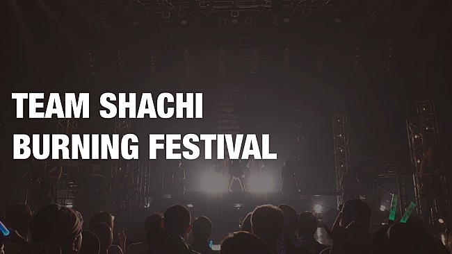 「TEAM SHACHI、初のフリーライブより「BURNING FESTIVAL」ライブ映像公開」1枚目/1