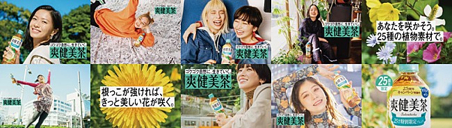 「「爽健美茶」25周年アンバサダーのchelmico、「爽健美茶のラップ」を配信＆ストリーミングへ」1枚目/1