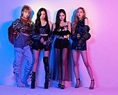 「BLACKPINK、初ドームライブとリアリティ番組の映像2作品を3月同時発売」1枚目/3
