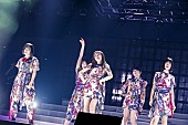 「Little Glee Monster、大成功の武道館2DAYSでメンバーも大喜び「みんな大好き！」」1枚目/10