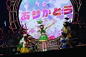 「でんぱ組.inc、夢眠ねむの卒業公演を映像作品化」1枚目/6