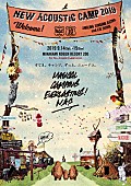 「OAUがオーガナイズ【New Acoustic Camp】、9月に水上高原で開催」1枚目/1