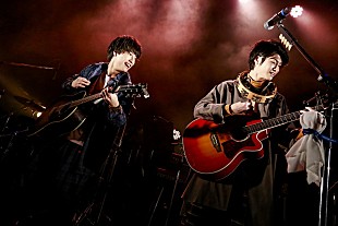 「さくらしめじ×コレサワ、2マンで一緒に「届けそこねたラブソング」」