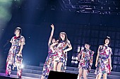 「Little Glee Monsterの日本武道館ライブをWOWOWでオンエア」1枚目/6