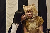 「＜猫の日記念＞北山宏光（Kis-My-Ft2）主演の映画『トラさん』“にゃんかわ頬ずり”カット初解禁」1枚目/1
