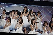 乃木坂４６「」9枚目/16